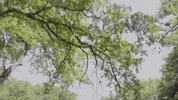 Hot Rod Bike GIF by Dayglow