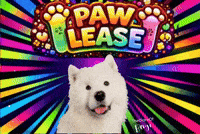 Sorry Excuse Me GIF