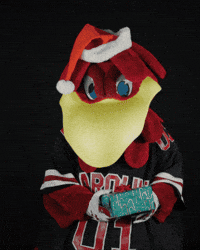 Christmas Winter GIF by University of South Carolina