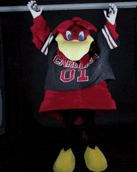 Football Goal GIF by University of South Carolina