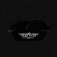 craving korean bbq GIF by Wingstop