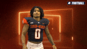 Slime GIF by Carson-Newman Athletics