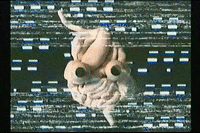 sad vhs GIF