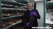 muttermuseum GIF