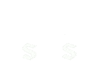 StarWingSportsManagement sports star wing sws Sticker