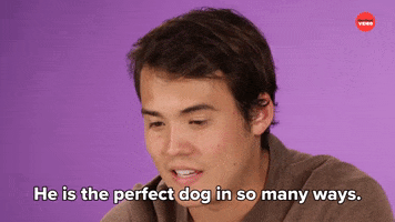 Dog Love GIF by BuzzFeed