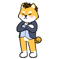 Crypto Doge Sticker by Dogelon Mars