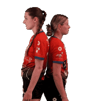 HSGHoKro handball kiel holstein hsg Sticker
