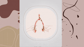 ladeees wishbone lades ladeskemiği ladesoyunu GIF