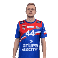 Handball Pgnigsuperliga Sticker by KS Azoty-Puławy S.A.