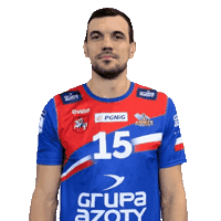 Handball Pgnigsuperliga Sticker by KS Azoty-Puławy S.A.