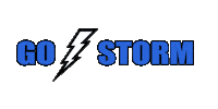 melvillestorm mcc melville gostorm melvillecc Sticker