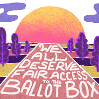 Verify Voting Rights GIF by Creative Courage