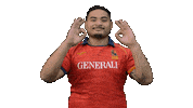 Fer Leones Sticker by FERugby