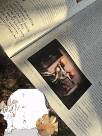 GIF by Alex Boya