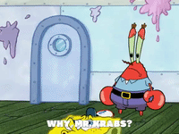 season 5 GIF by SpongeBob SquarePants