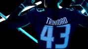 Old Dominion Sport GIF by ODU Football
