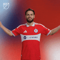 Vamos Lets Go GIF by Major League Soccer