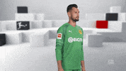 Proud Line Up GIF by Bundesliga