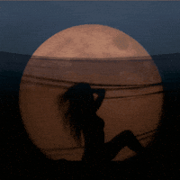 Bichota GIF by Karol G