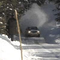Rally Sweden Motorsport GIF by FIA World Rally Championship