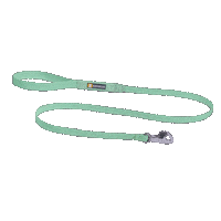 ruffwear leash dog walk dog leash ruffwear Sticker