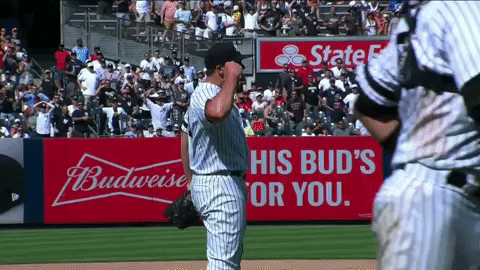 montielsean211 giphyupload yankees holder jonathan holder GIF