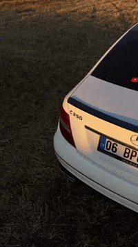 Luxxima  GIF