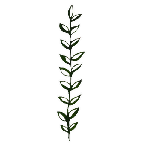 Julia_Ili giphyupload nature green plant Sticker