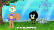 season 9 squid defense GIF by SpongeBob SquarePants