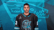 San Jose Goal GIF by San Jose Barracuda