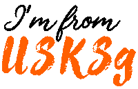 Singapore Usk Sticker