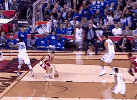 final four basketball GIF by The Daily Dot