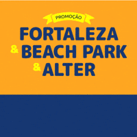Alter_Saude alter saude affix beachpark GIF