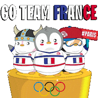 France Sport Sticker by Pudgy Penguins