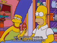 homer simpson episode 6 GIF