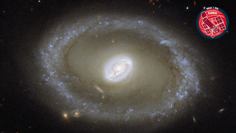 Eye Looking GIF by ESA/Hubble Space Telescope