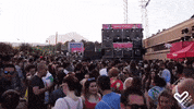 EnergySistem  GIF