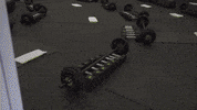 GIF by TRIUMPH STUDIO