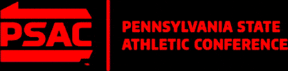 psacsports d2 psac GIF