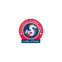 disenoCASC casc colegioamericano corsarios colegio americano Sticker