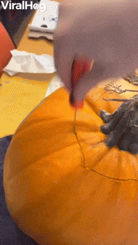 Amazing Pumpkin Carving of Adele