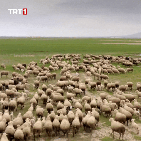 Friends Running GIF by TRT