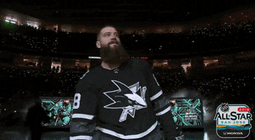 nhl sports sport hockey nhl GIF