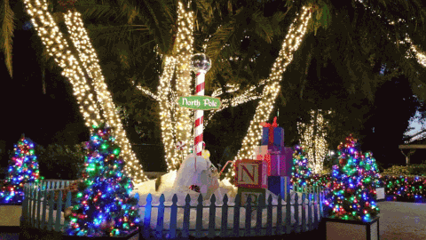 christmas lights GIF