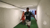 susto bu GIF by SE Palmeiras