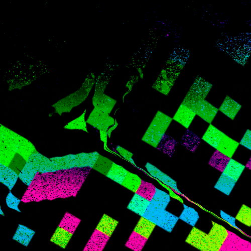 GIF by XCOPY