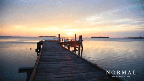 normal-magazine giphygifmaker italia magazine island GIF