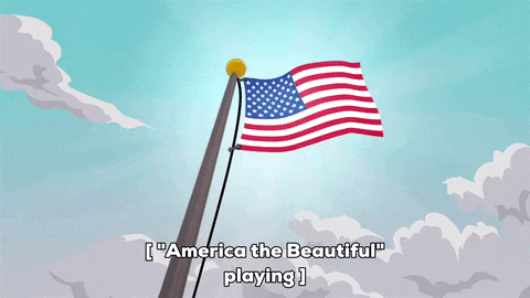 flag GIF by South Park 