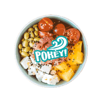 Pokeycuneo food drink beer cheers Sticker
